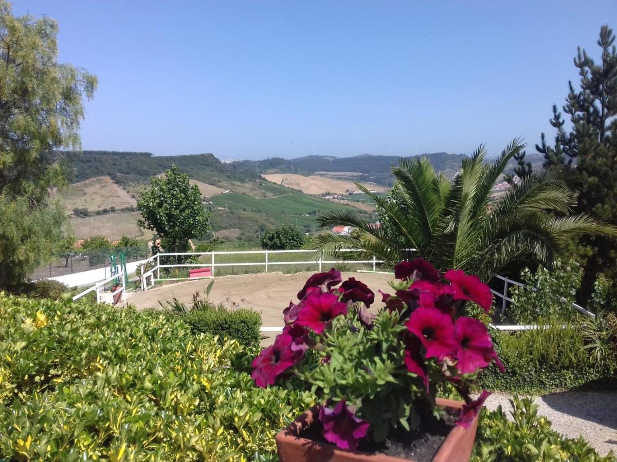 Casinha De Campo- Quintinha Dos Cavalos- Arruda Dos Vinhos Eksteriør billede