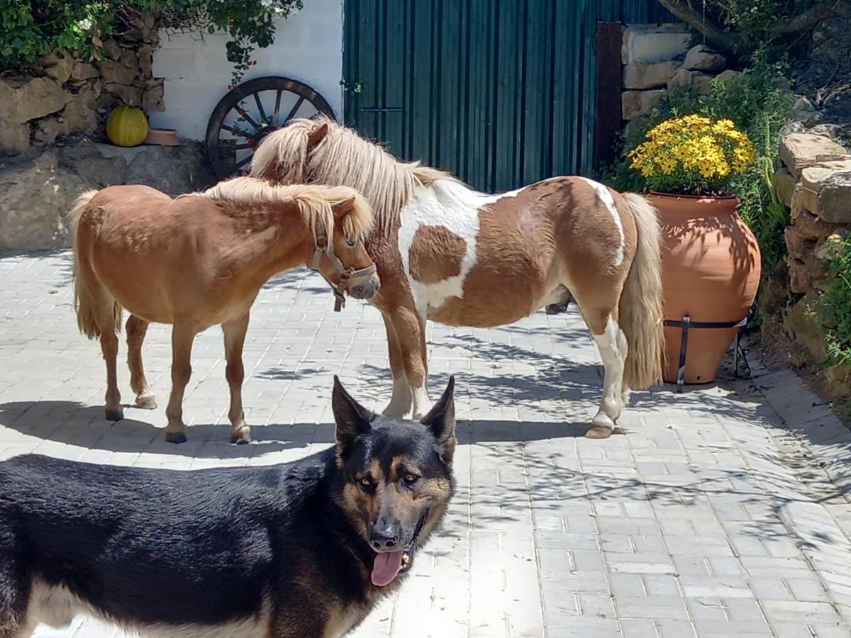 Casinha De Campo- Quintinha Dos Cavalos- Arruda Dos Vinhos Eksteriør billede