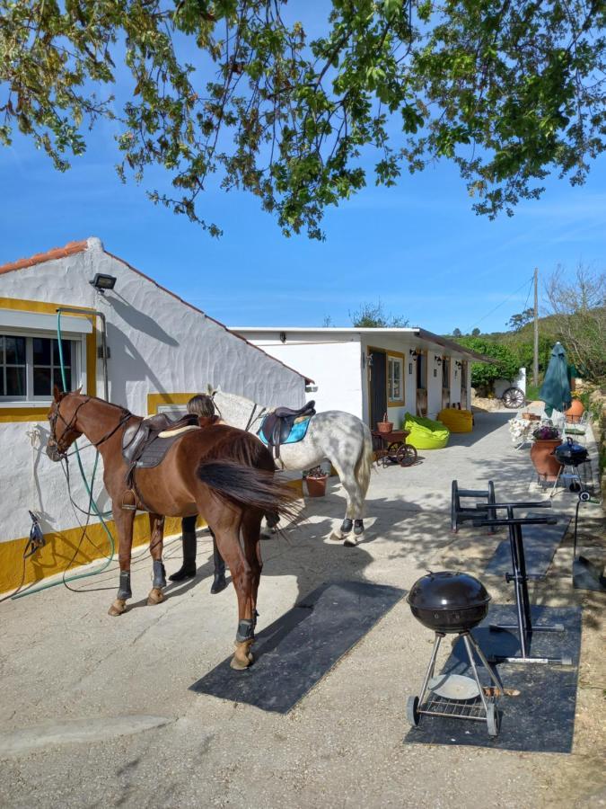 Casinha De Campo- Quintinha Dos Cavalos- Arruda Dos Vinhos Eksteriør billede